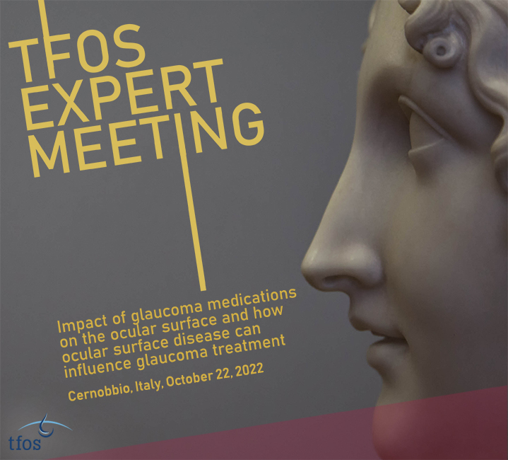 TFOS Expert MeetingCernobbio (CO)